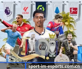 sport-im-esports.com.cn APP